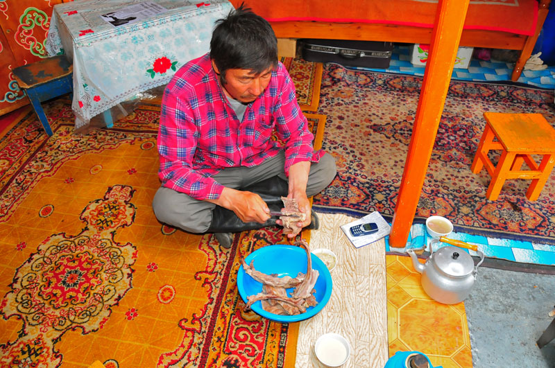 Mongolie